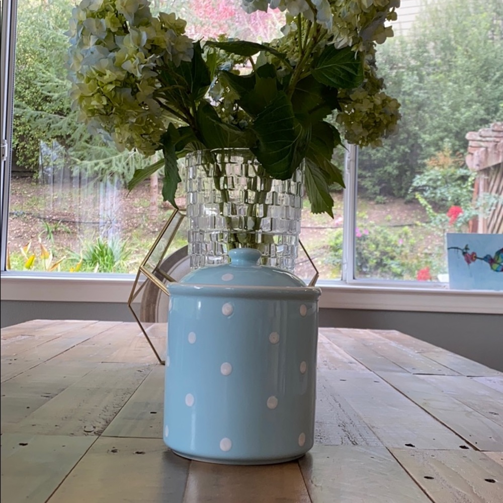 Spode blue white polka dot hand painted canister - Picture 2 of 7